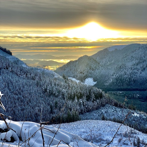 Meet your Posher, Alex-andra - Picture 8 of 12